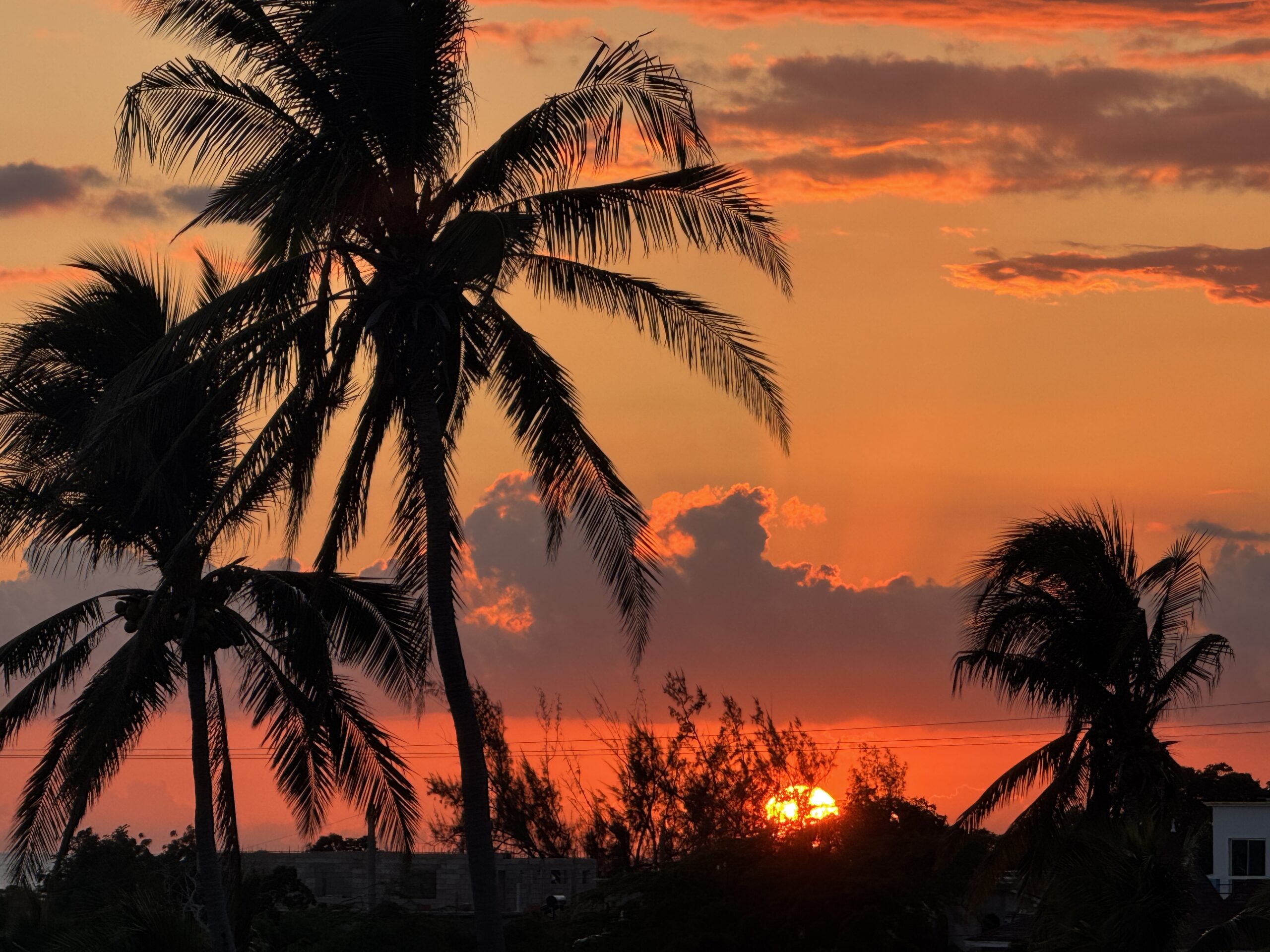 Voluntourism: A Movement Where Travel Meets Purpose